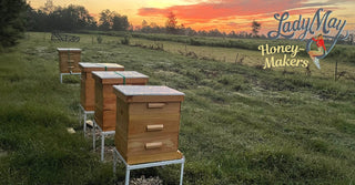 Lady May Honey Makers