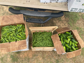 Sweet & Spicy Pickled Okra, 24oz, Premium Quality Goods