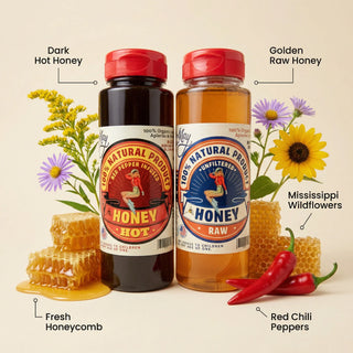 The Lady May hot and raw honey ingredients infographic showing dark hot honey, golden raw honey, Mississippi wildflowers, fresh honeycomb and red chili peppers, a gourmet local honey